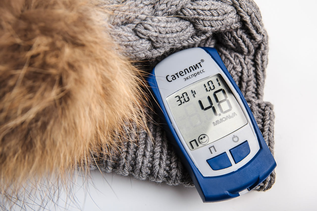 Diabete nel gatto: quali sono i primi segnali da notare