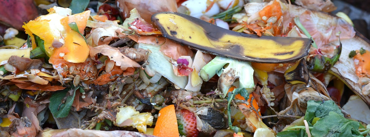 Il rifiuto del cibo e cosa significa