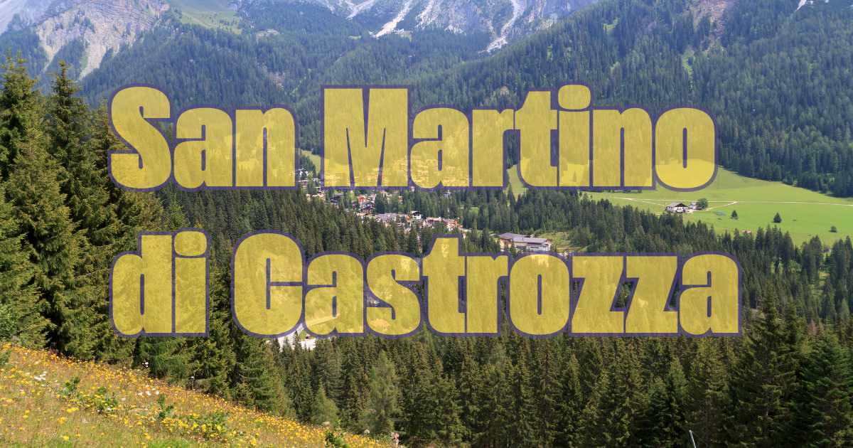 Orsi marsicani nel Parco d'Abruzzo: quanti ne rimangono davvero
