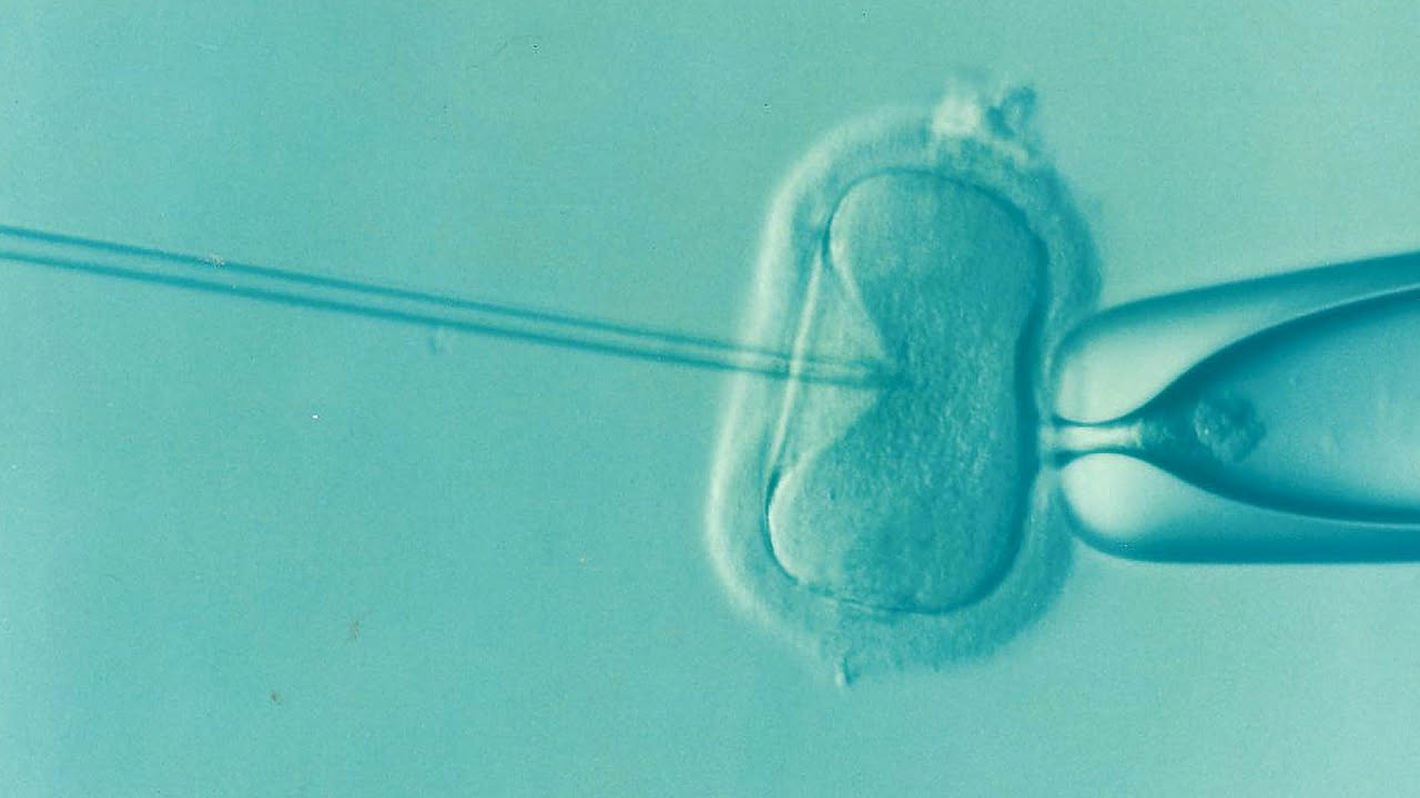 La biologia riproduttiva e il legame con l'ambiente