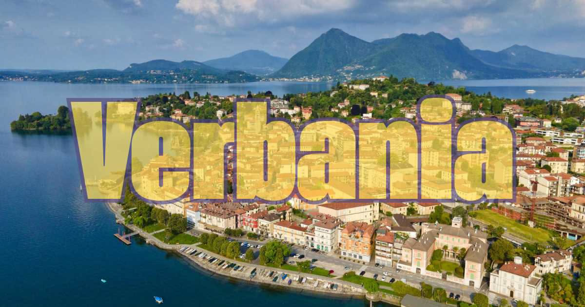 Perché gridano così tanto