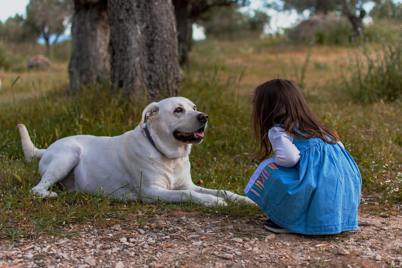 Cane marrone al parco circondato da bambini che cercano di accarezzarlo mentre il proprietario osserva attentamente