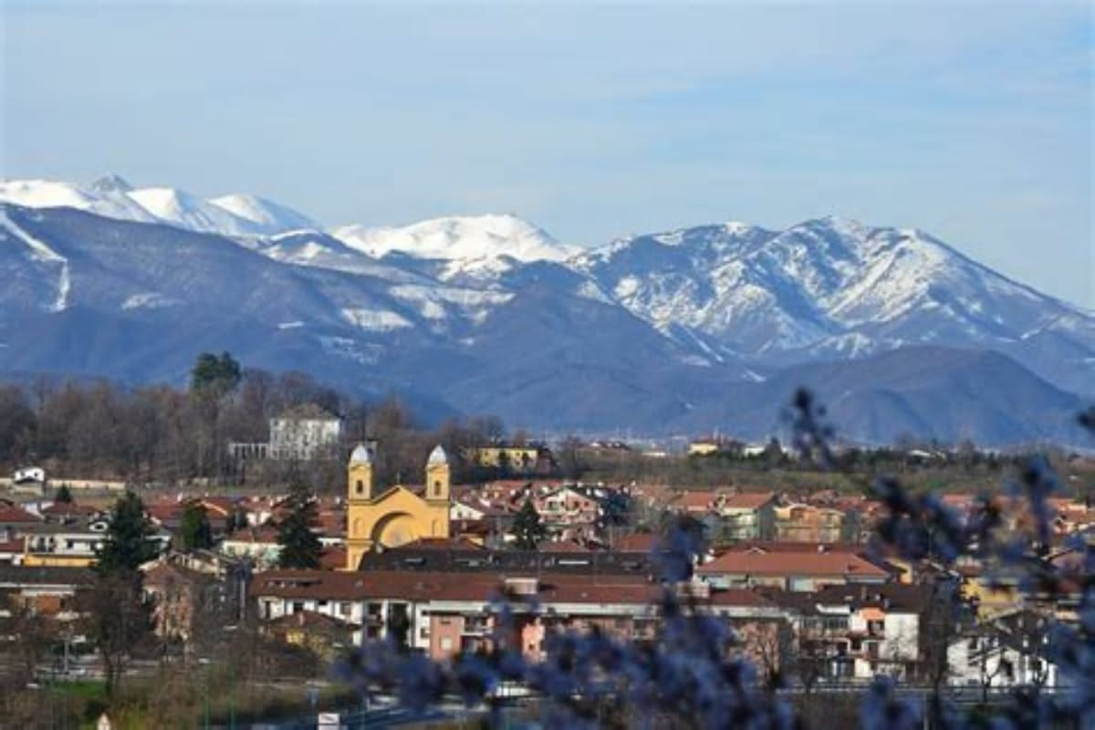 Linci nel nord Italia: quante sono e come si muovono tra le Alpi