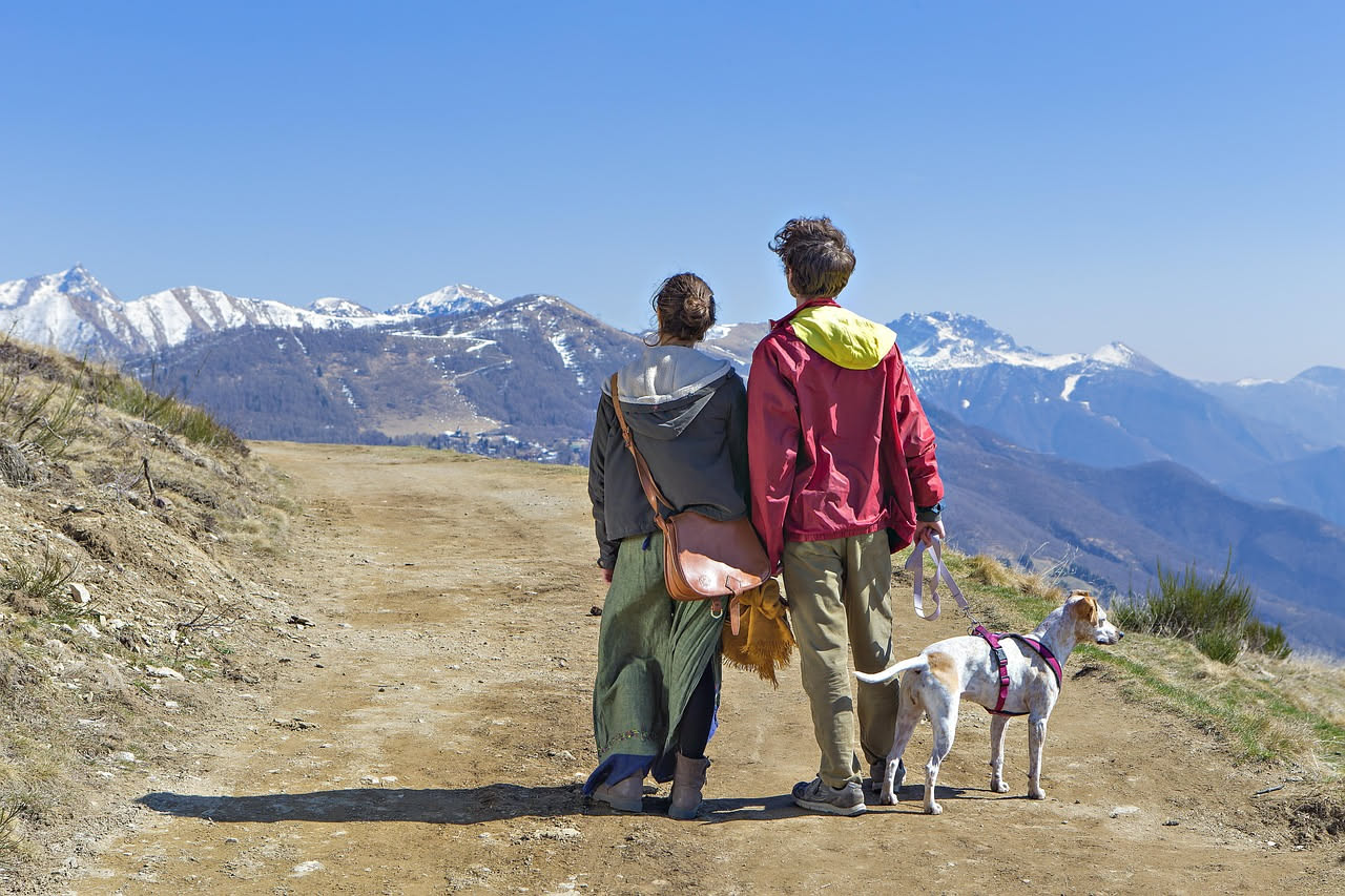 Cane in visita dai parenti: come prepararlo al viaggio
