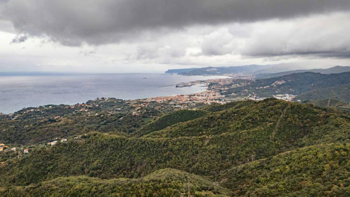 Caprioli in Liguria: il ritorno sulle colline dietro la costa